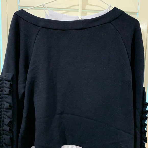 Zara Poplin Dress with Ruffled Sleeves NWOT - Picture 11 of 12